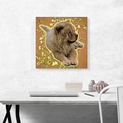Chow Chow Dog Breed