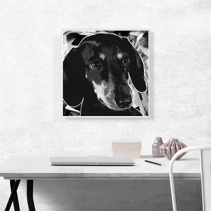 Dachshund Dog Breed Black White