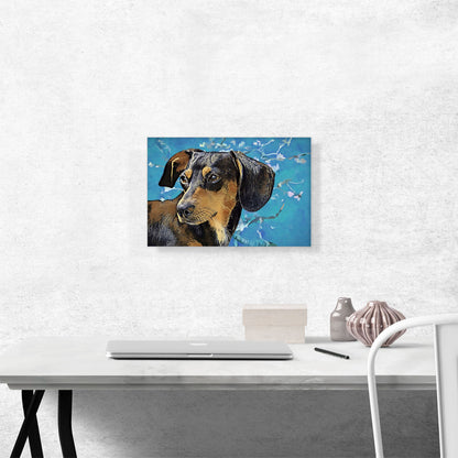 Dachshund Dog Breed Blue White Flowers