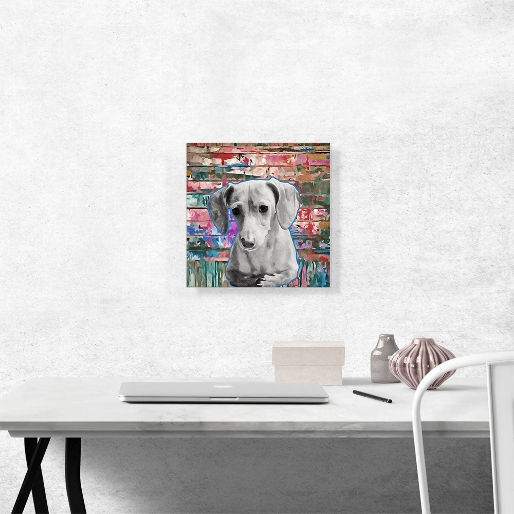 Dachshund Dog Breed Colorful Graffiti