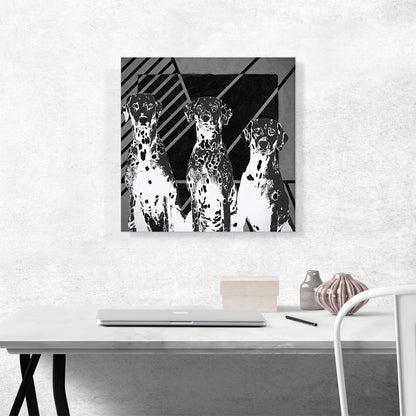 Dalmatian Dog Breed Black White Lines