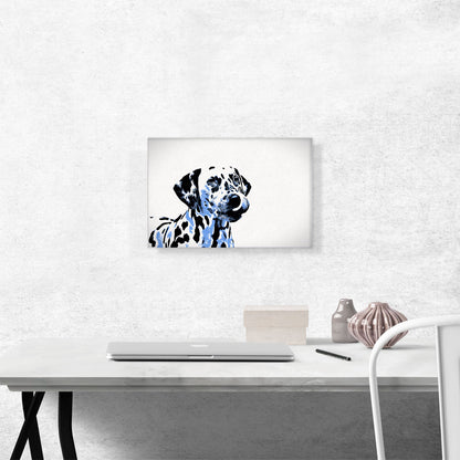 Dalmatian Dog Breed Blue White Black