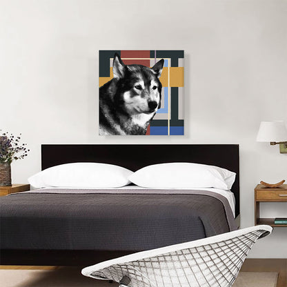 Alaskan Malamute Dog Breed Blue Yellow Red