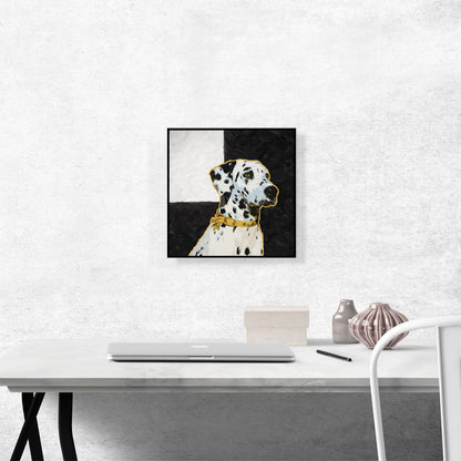 Dalmatian Dog Breed Yellow Black White