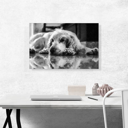 English Cocker Spaniel Dog Breed
