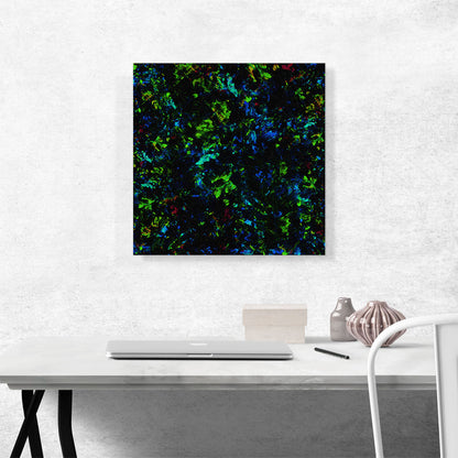 Green Blue Black Opal Precious Stone Gemstone Jewel