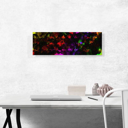 Black Opal Precious Stone Jewel Gemstone