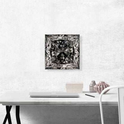 Black White Princess Cut Diamond Jewel