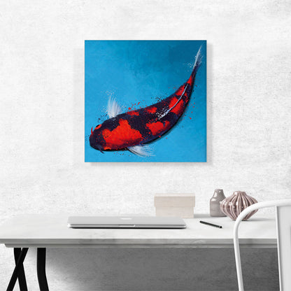 Goshiki Koi Carp Fish Japan China Asia