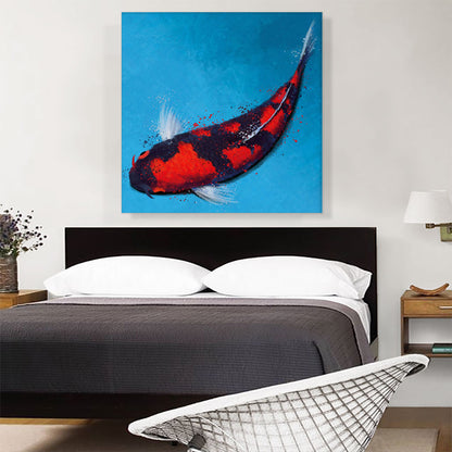 Goshiki Koi Carp Fish Japan China Asia