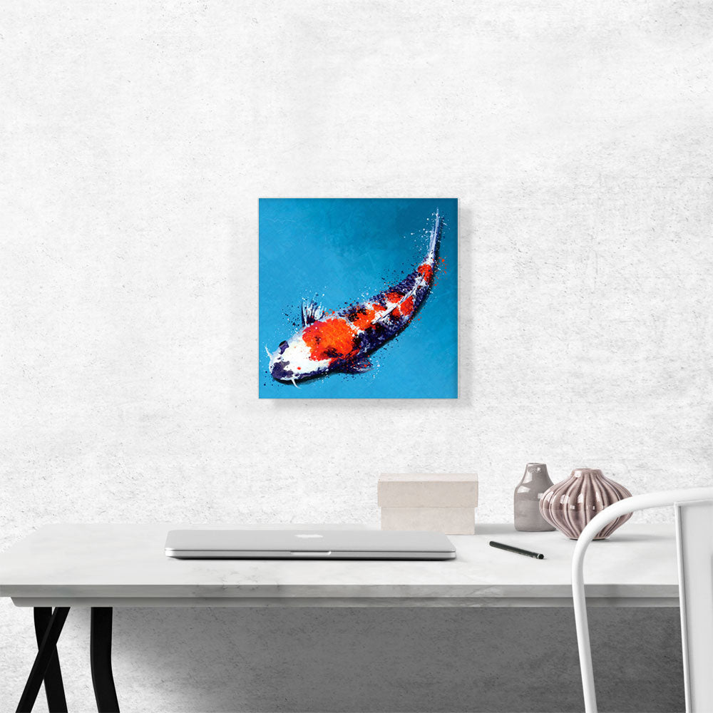 Hikariutsuri Koi Carp Fish Japan China Asia