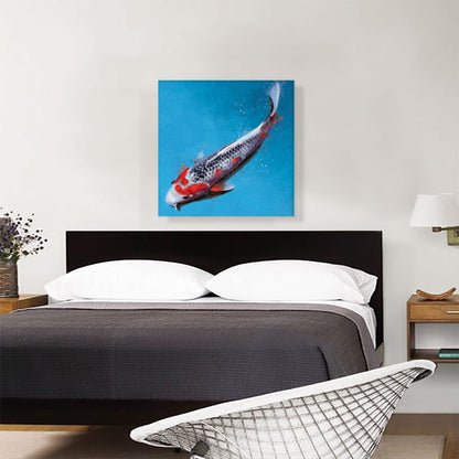 Asagi Koi Carp Fish Japan China Asia