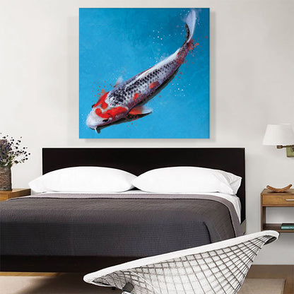 Asagi Koi Carp Fish Japan China Asia