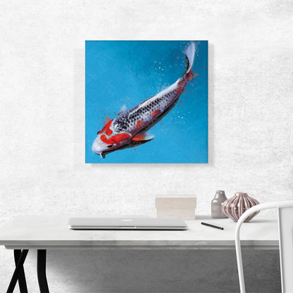 Asagi Koi Carp Fish Japan China Asia