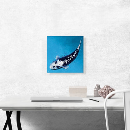 Kawarigoi Koi Carp Fish Japan China Asia