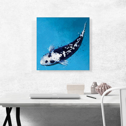 Kawarigoi Koi Carp Fish Japan China Asia