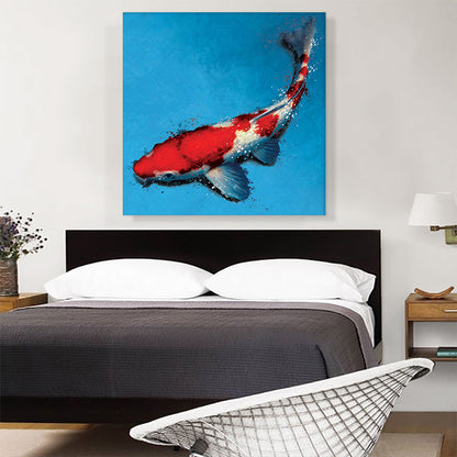 Kohaku Koi Carp Fish Japan China Asia