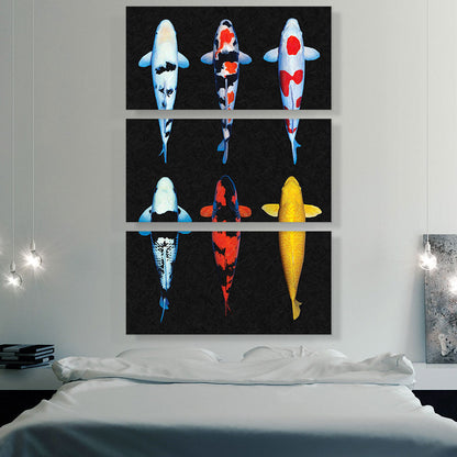 Koi Carp Fish Asia Japan China