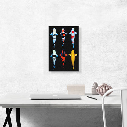 Koi Carp Fish Asia Japan China