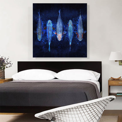 Asagi Koi Carp Fish Japan China