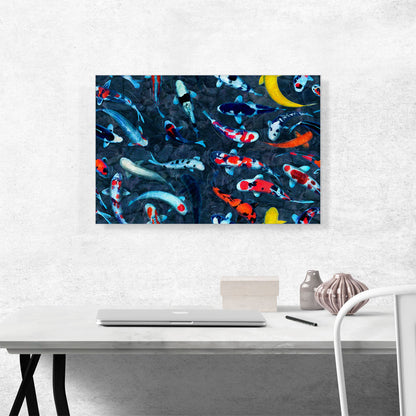 Koi Carp Fish Japan China Swimming Pond