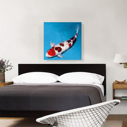 Koromo Koi Carp Fish Japan China Asia