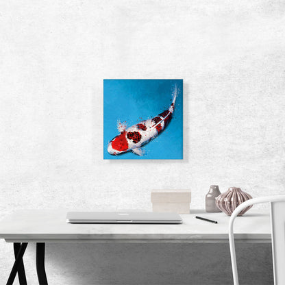Koromo Koi Carp Fish Japan China Asia