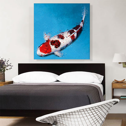 Koromo Koi Carp Fish Japan China Asia