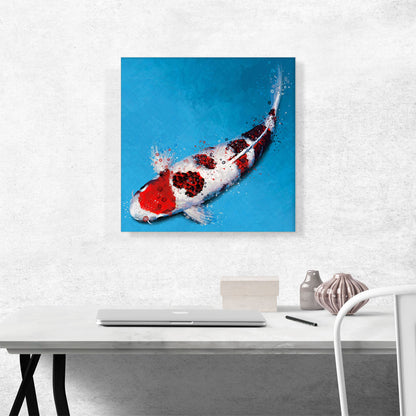 Koromo Koi Carp Fish Japan China Asia