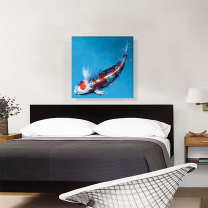 Kujyaku Koi Carp Fish Japan China Asia