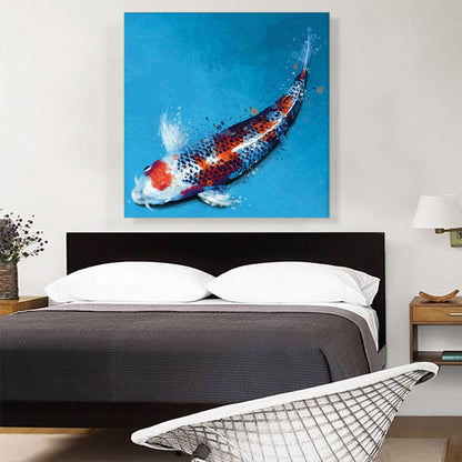 Kujyaku Koi Carp Fish Japan China Asia