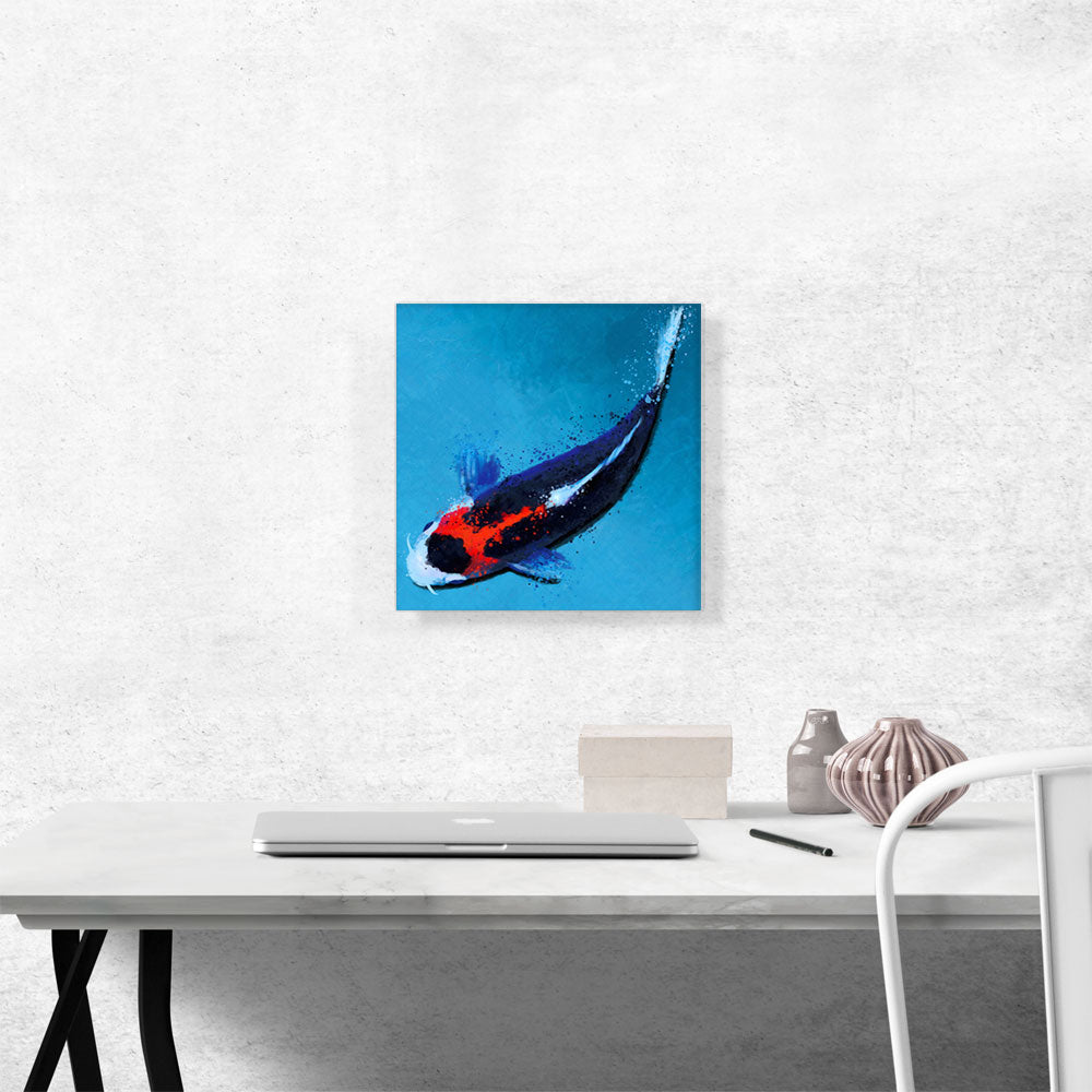 Kumonryu Koi Carp Fish Japan China Asia