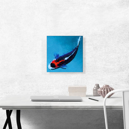 Kumonryu Koi Carp Fish Japan China Asia