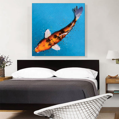 Bekko Koi Carp Fish Japan China Asia