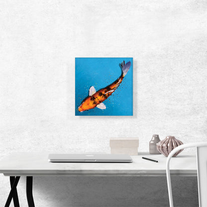 Bekko Koi Carp Fish Japan China Asia