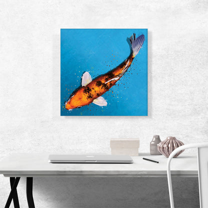 Bekko Koi Carp Fish Japan China Asia