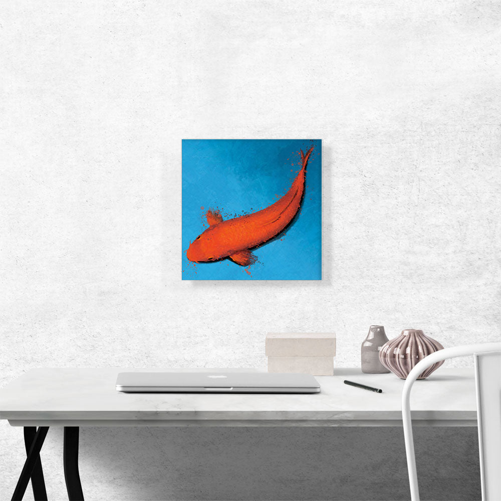 Muji Koi Carp Fish Japan China Asia