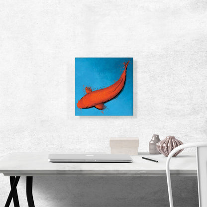 Muji Koi Carp Fish Japan China Asia