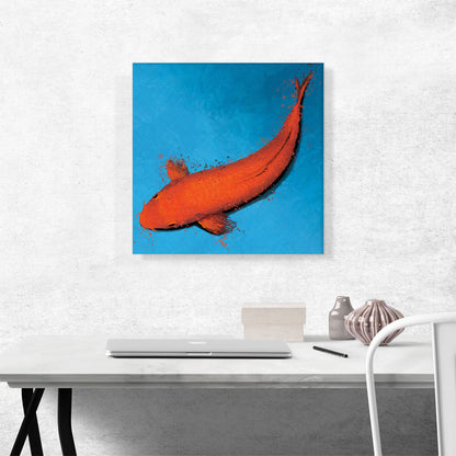 Muji Koi Carp Fish Japan China Asia