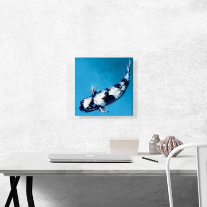 Shiroutsuri Koi Carp Fish Japan China Asia