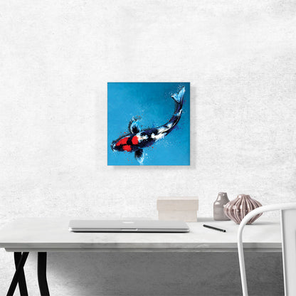 Showa Koi Carp Fish Japan China Asia