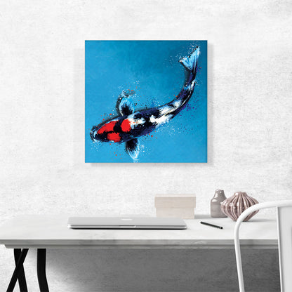Showa Koi Carp Fish Japan China Asia