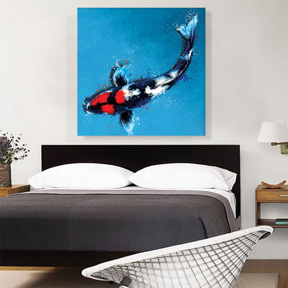 Showa Koi Carp Fish Japan China Asia