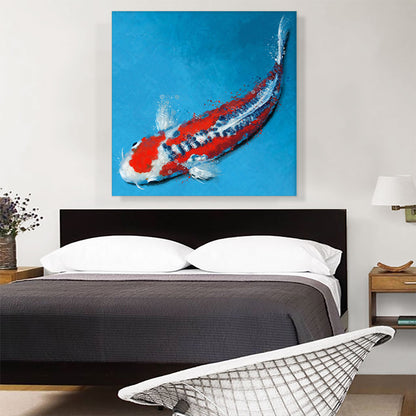 Shusui Koi Carp Fish Japan China Asia