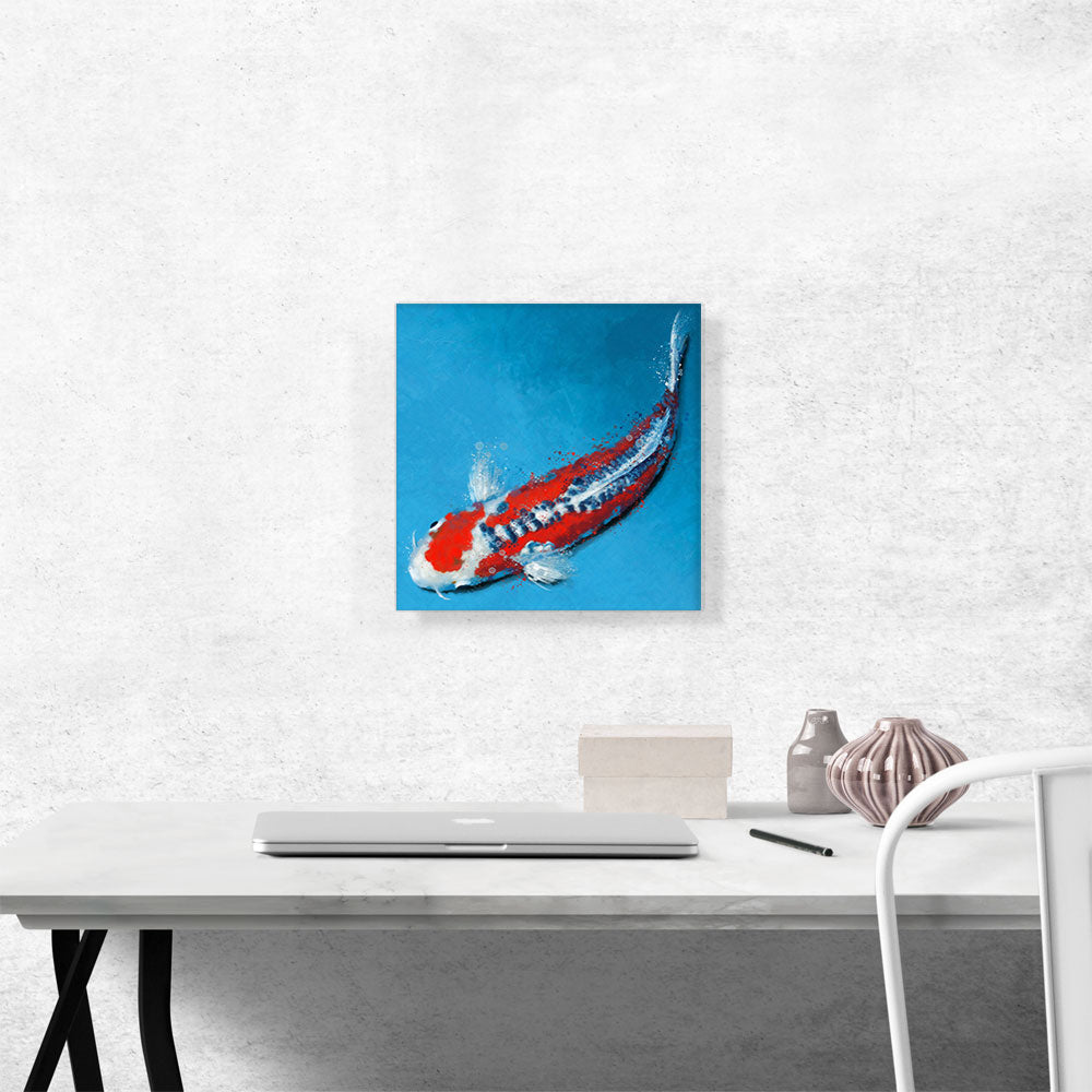 Shusui Koi Carp Fish Japan China Asia