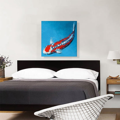 Shusui Koi Carp Fish Japan China Asia