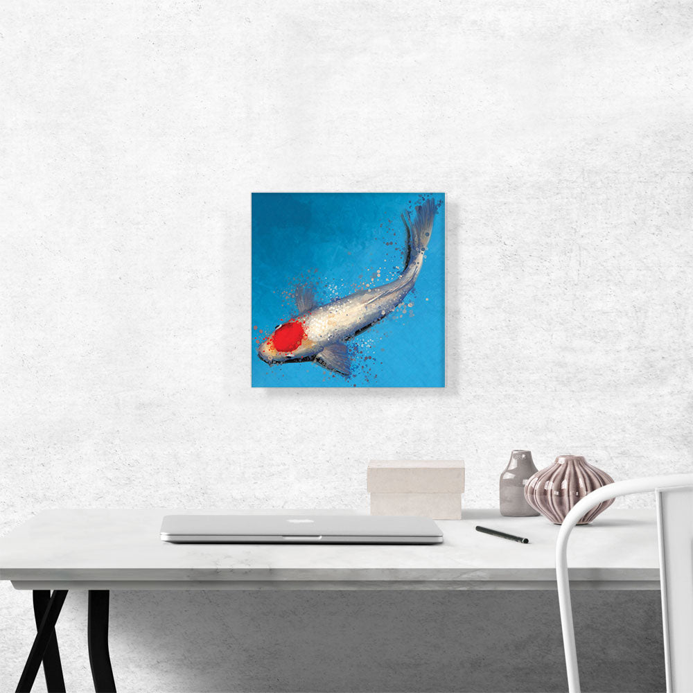 Tancho Koi Carp Fish Japan China Asia