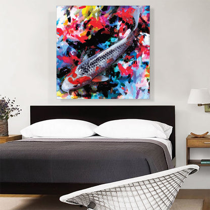 Colorful Kohaku Asagi Koi Carp Fish Japan