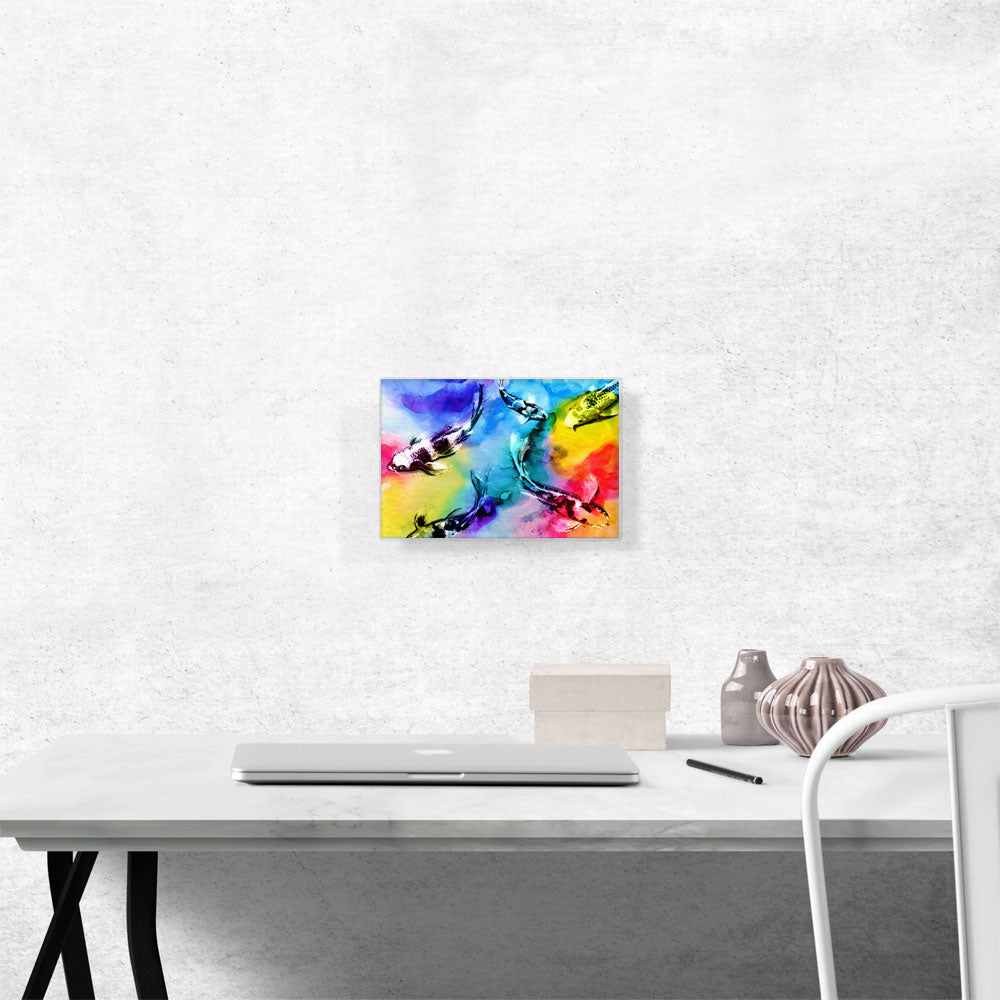 Colorful Koi Carp Japan Asia China Fish