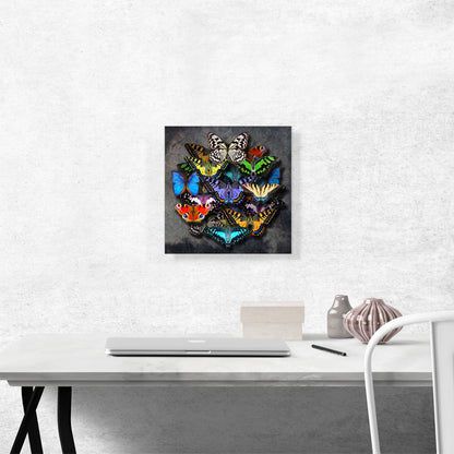 Modern A Circle of Butterflies